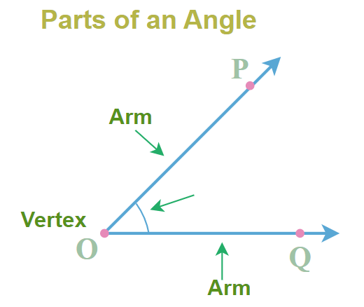 Everything You Need to Know About Angles