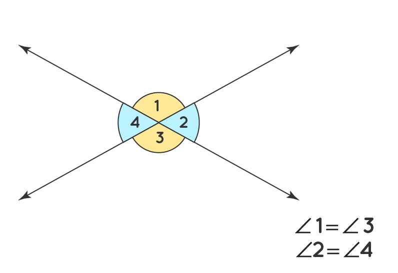 Everything You Need to Know About Angles