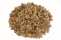 list of 50 pulses in india