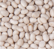 list of 50 pulses in india