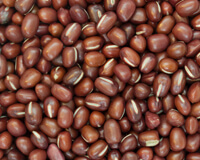 list of 50 pulses in india