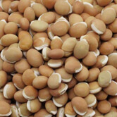 list of 50 pulses in india