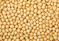 list of 50 pulses in india