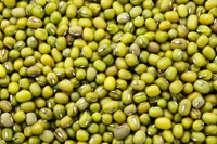 list of 50 pulses in india