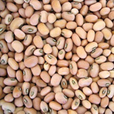 list of 50 pulses in india