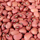 list of 50 pulses in india