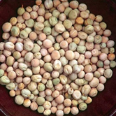 list of 50 pulses in india