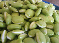 list of 50 pulses in india