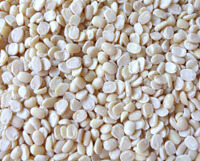 list of 50 pulses in india