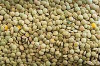 list of 50 pulses in india